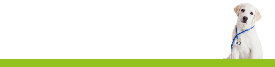 Shop Veterinary Food Diets Online